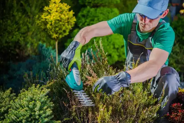 landscaping services Bellerose Terrace